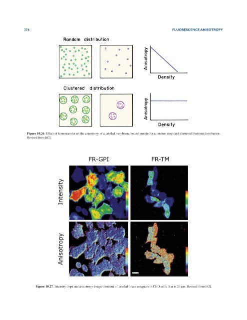 Principles of Fluorescence Spectroscopy