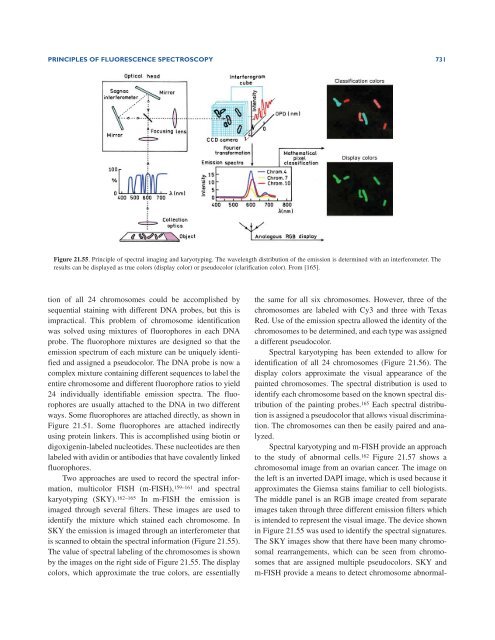 Principles of Fluorescence Spectroscopy