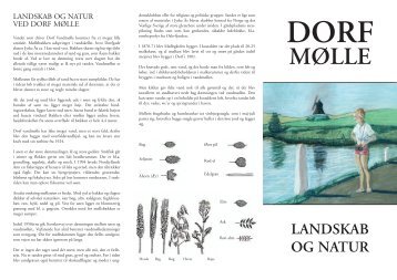 Dorf Brochure - Dronninglund