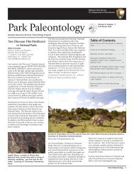 Parkpaleo 6 3 - Explore Nature - National Park Service