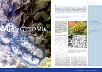 Metagenomic adventures - Naturstoff-forschung.info