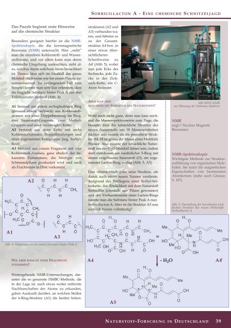 Vorbild Natur - Dechema