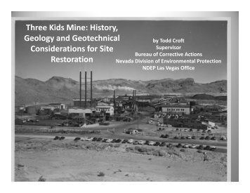 Three Kids Mine - Nevada Division of Environmental Protection