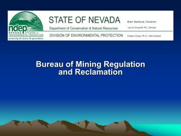 Public Hearing Staff Presentation - Nevada Division of ...