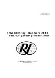 Rehabilitering i Danmark 2010 - beskrevet gennem praksishistorier