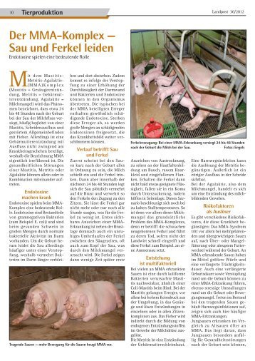 2012-30_MMA-Komplex - Sau und Ferkel leiden.pdf - Dr. Neinhaus ...