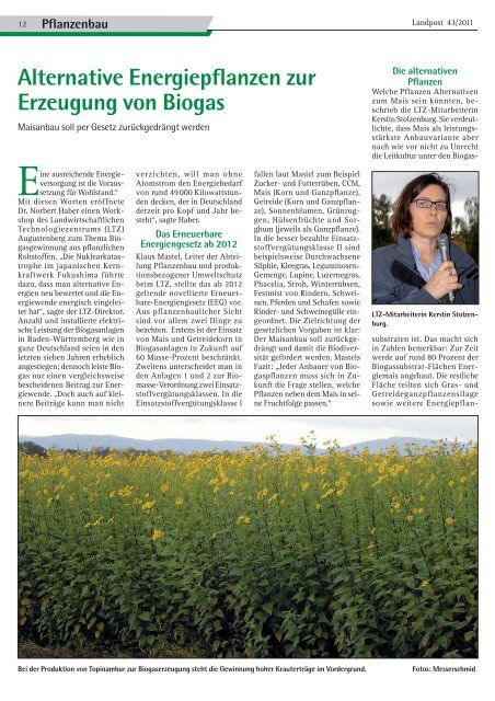 2011-43_Alternative Energiepflanzen zur Erzeugung von Biogas.pdf