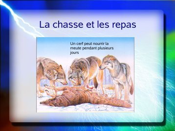 la chasse.pdf