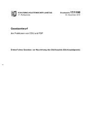 17/1100 - Landtag Schleswig-Holstein