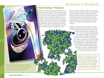 "Self-Healing" Polymers