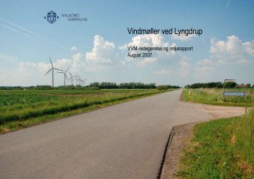Vindmøller ved Lyngdrup, VVM-redegørelse og miljørapport, August ...