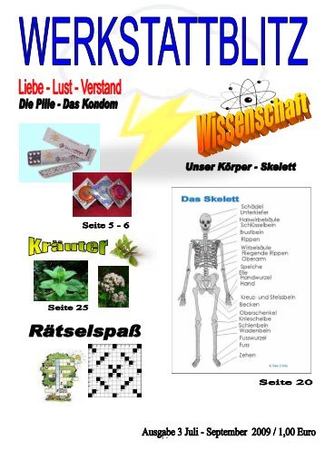 Werkstattblitz Ausgabe September 2009 - Lebenshilfe Meiningen