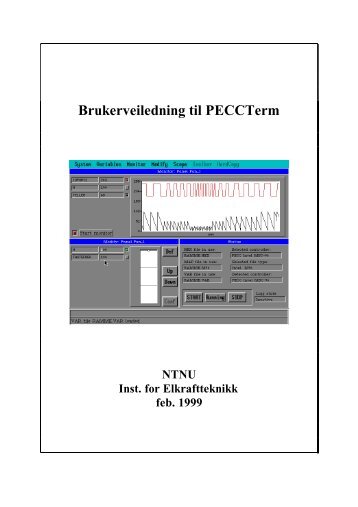 Brukerveiledning til PECCTerm - NTNU