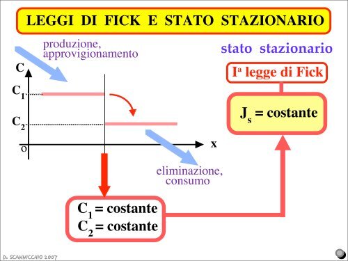 2 - Facoltà di Medicina e Chirurgia