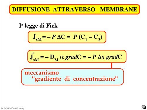 2 - Facoltà di Medicina e Chirurgia