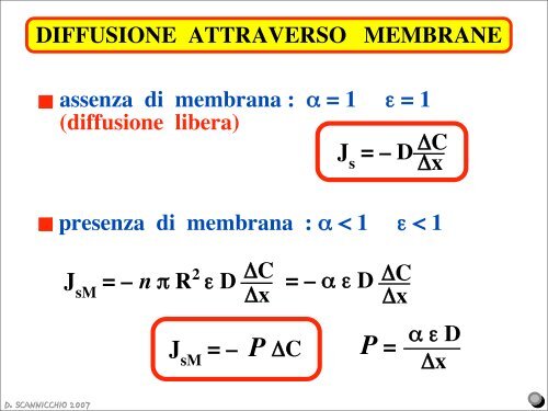 2 - Facoltà di Medicina e Chirurgia