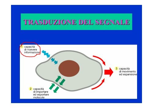 MEMBRANE TRASDUZIONE 1