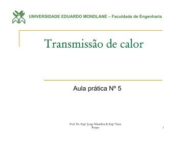 T - Prof. Doutor Jorge Olivio Penicela Nhambiu - Universidade ...