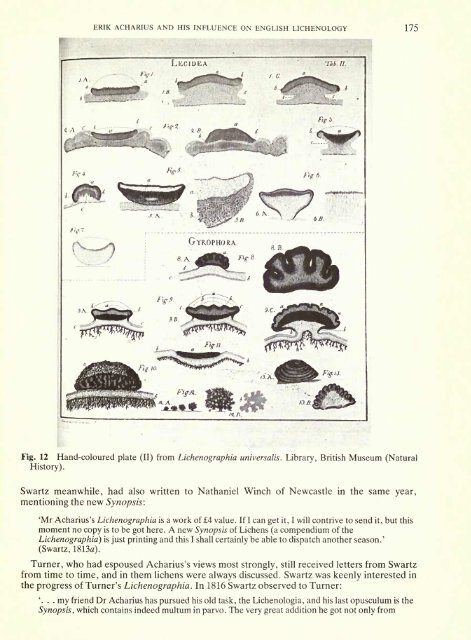 British Museum (Natural History)