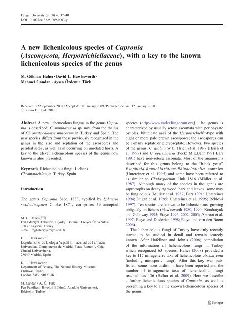 A new lichenicolous species of Capronia (Ascomycota ...