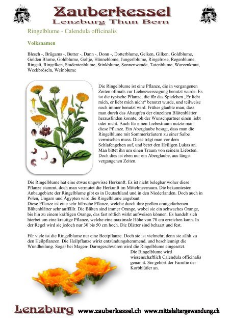 Ringelblume - Calendula officinalis