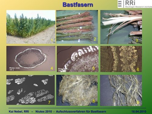 Verfahren des Faseraufschlusses für Bastfasern - NIUTEX 2010