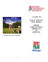 https://img.yumpu.com/18045746/1/190x245/ocean-county-new-jersey-fresh-agricultural-products-services.jpg?quality=85