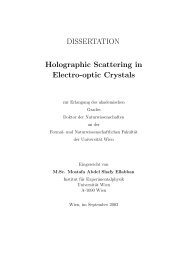 DISSERTATION Holographic Scattering in Electro-optic Crystals