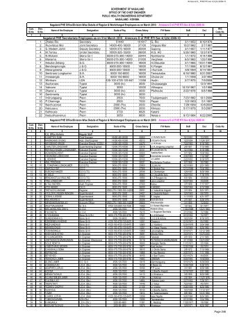 Annexure D_ PHE Employees Census 2009