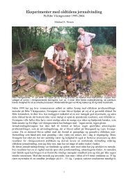Eksperimenter med oldtidens jernudvinding - Ribe VikingeCenter