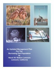 An Updated Management Plan For The Burrowing Owl Population ...