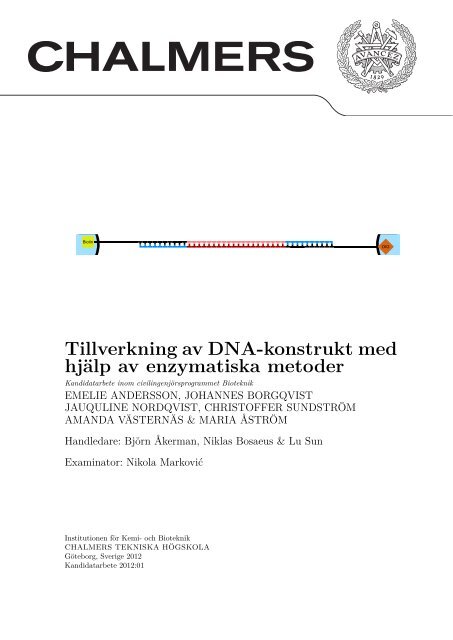 Tillverkning av DNA-konstrukt med hjälp av enzymatiska metoder