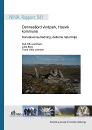 Dønnesfjord vindpark, Hasvik kommune - Skjema Nve