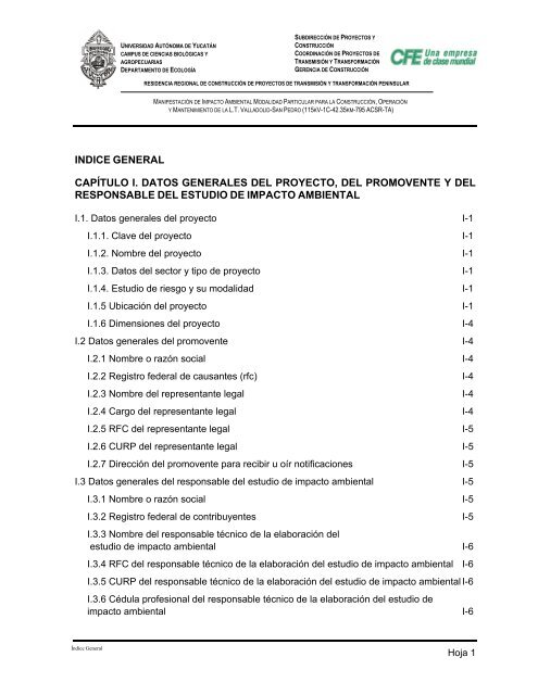 CAPITULO IV - sinat - Semarnat