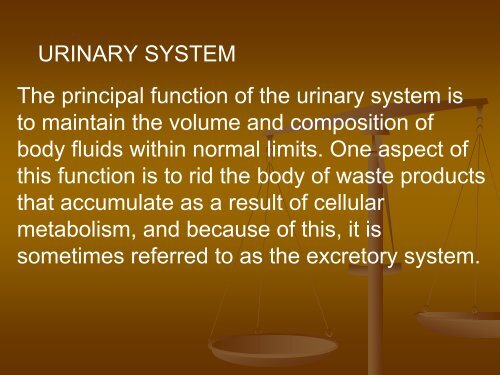 FISIOLOGI MANUSIA.pdf - Staff UNY