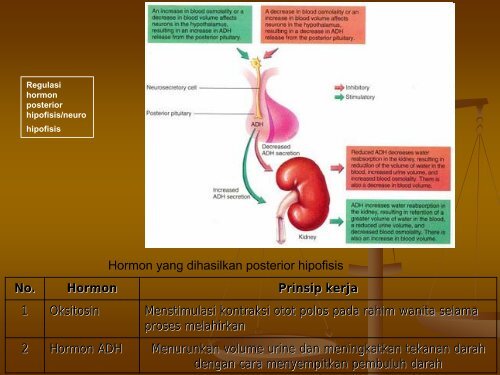 FISIOLOGI MANUSIA.pdf - Staff UNY