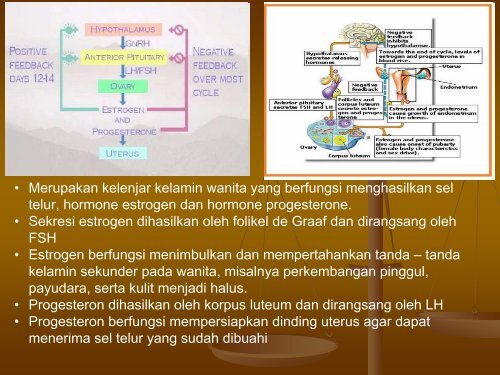 FISIOLOGI MANUSIA.pdf - Staff UNY