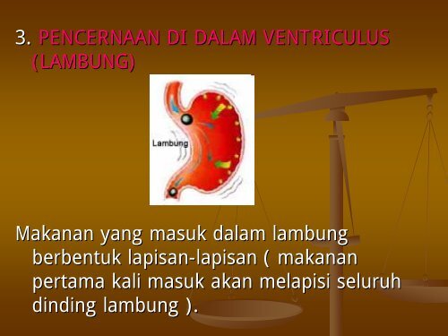 FISIOLOGI MANUSIA.pdf - Staff UNY