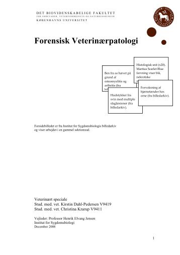 Forensisk Veterinærpatologi - Sveriges Radio