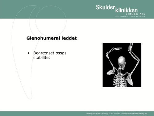 Hent Lisbeth Rejsenhus' slides fra workshop om specialiseret