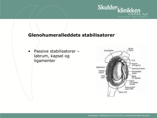 Hent Lisbeth Rejsenhus' slides fra workshop om specialiseret