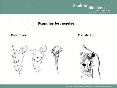 Hent Lisbeth Rejsenhus' slides fra workshop om specialiseret