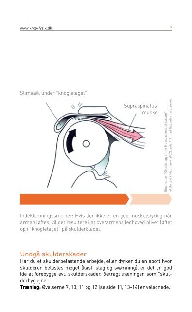 Skulderproblemer - Danske Fysioterapeuter