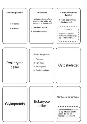 Flashkort - cellebiologi