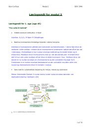 Læringsmål for modul 2