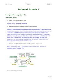 Læringsmål for modul 2