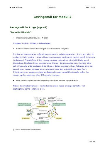 Læringsmål for modul 2