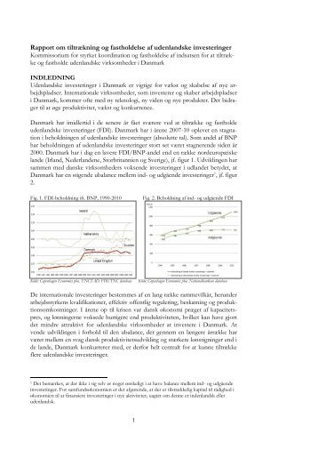 Rapport - Udenrigsministeriet