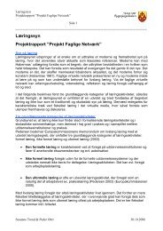 Læringssyn Projektrapport ”Projekt Faglige Netværk”