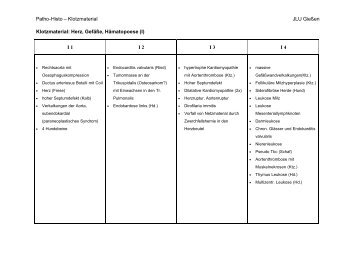 Patho-Histo – Klotzmaterial JLU Gießen Klotzmaterial ... - Vetstudy